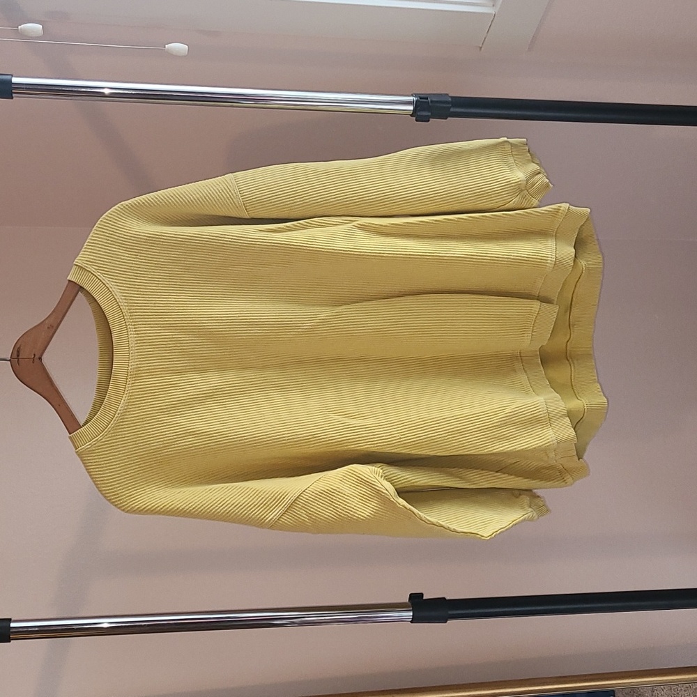 Aerie sweatshirt